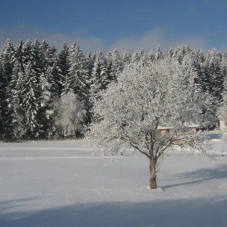 Appartement Weber *